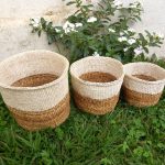 Storage Basket